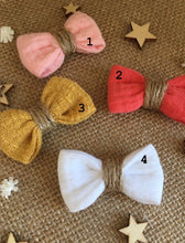 Barrettes printanières